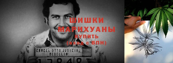 гидропоника Ладушкин