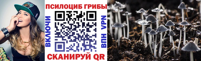 Галлюциногенные грибы MAGIC MUSHROOMS Духовщина